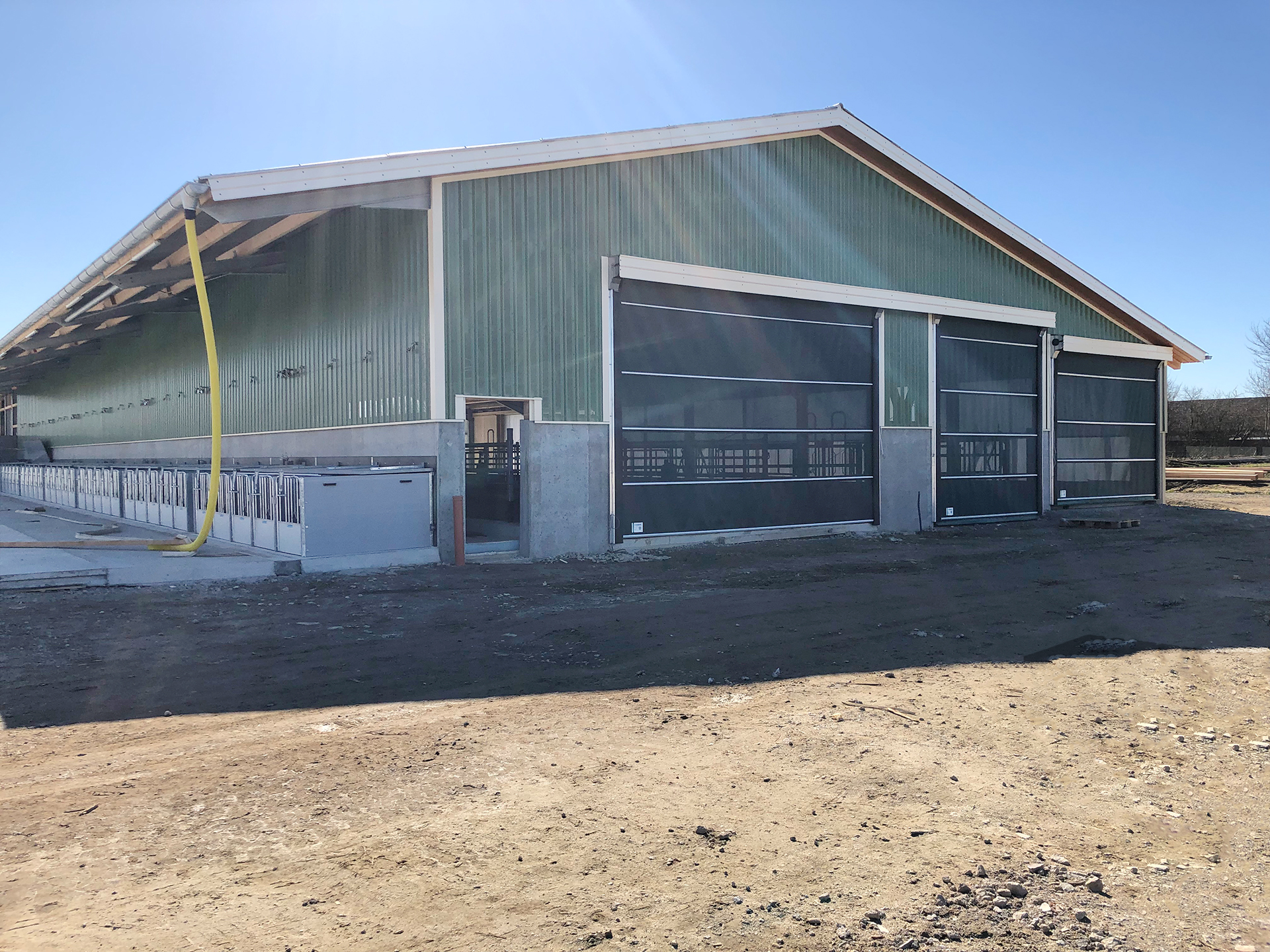 Business Consultation