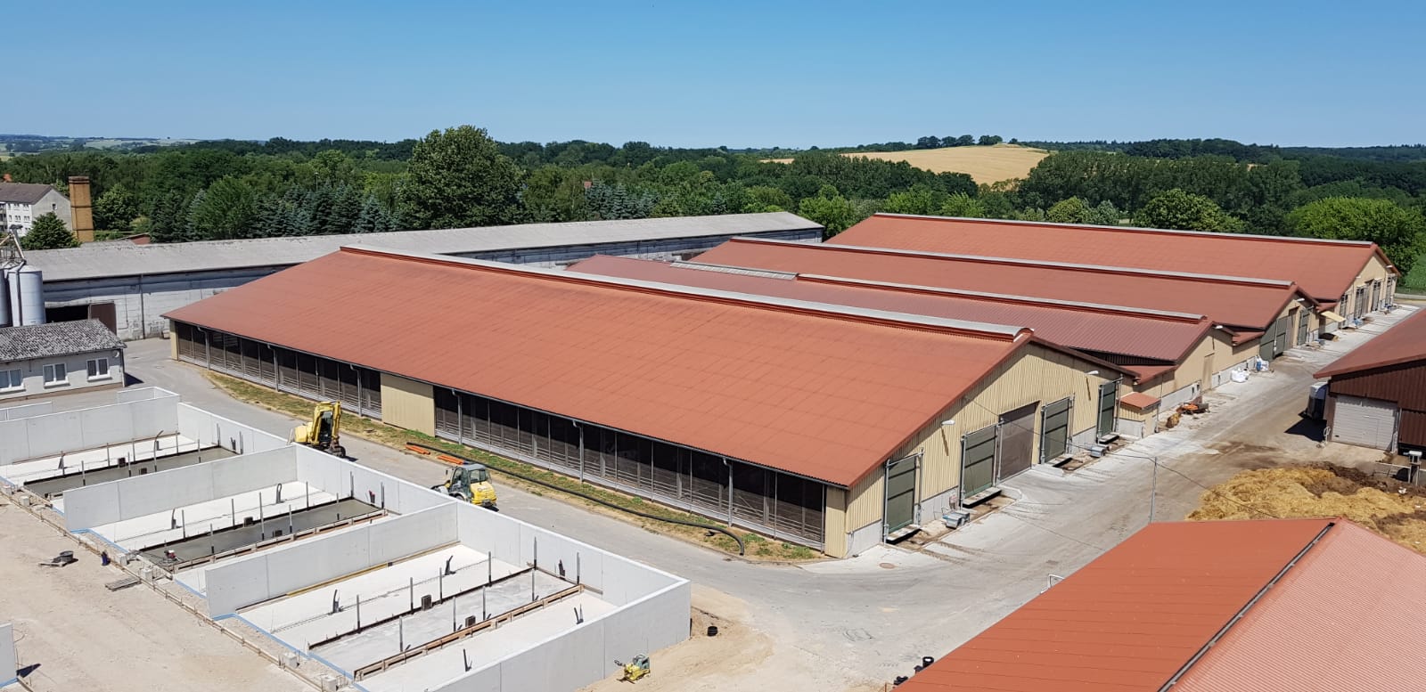 Business Consultation