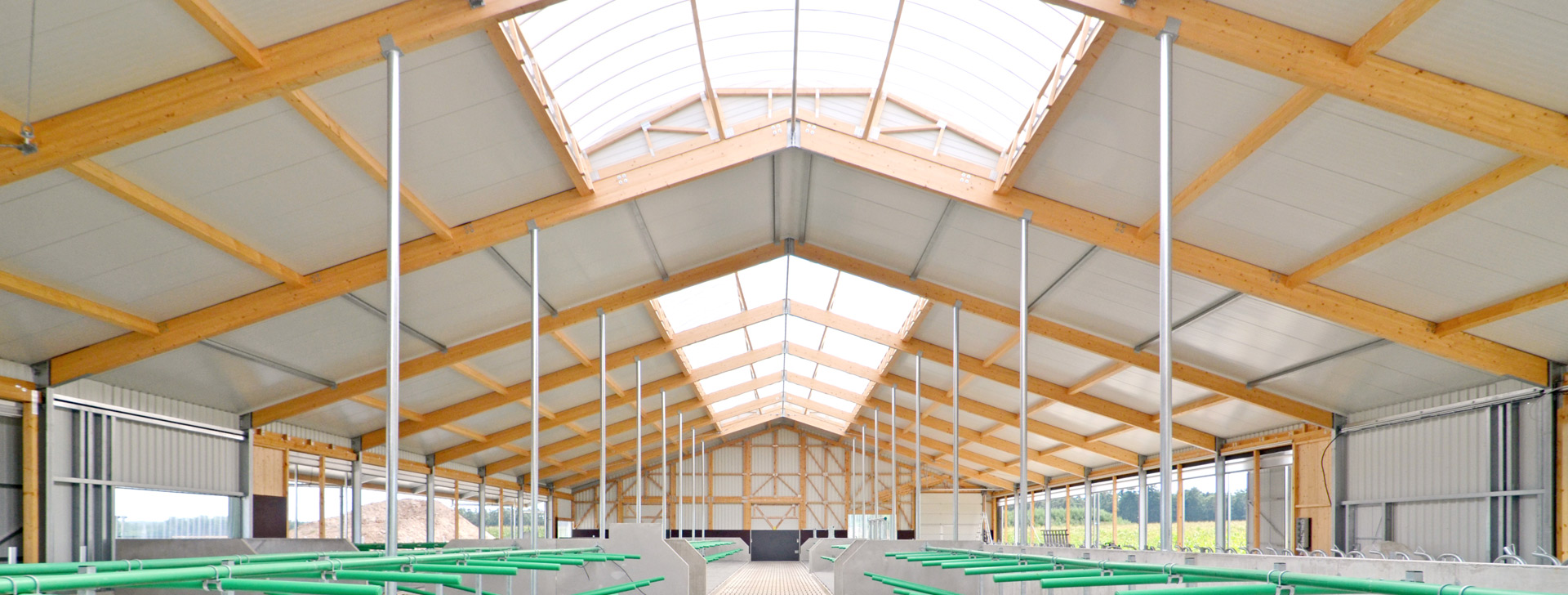 Business Consultation